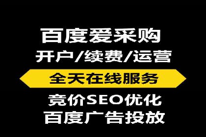 网络推广中的竞价广告：成功案例解析